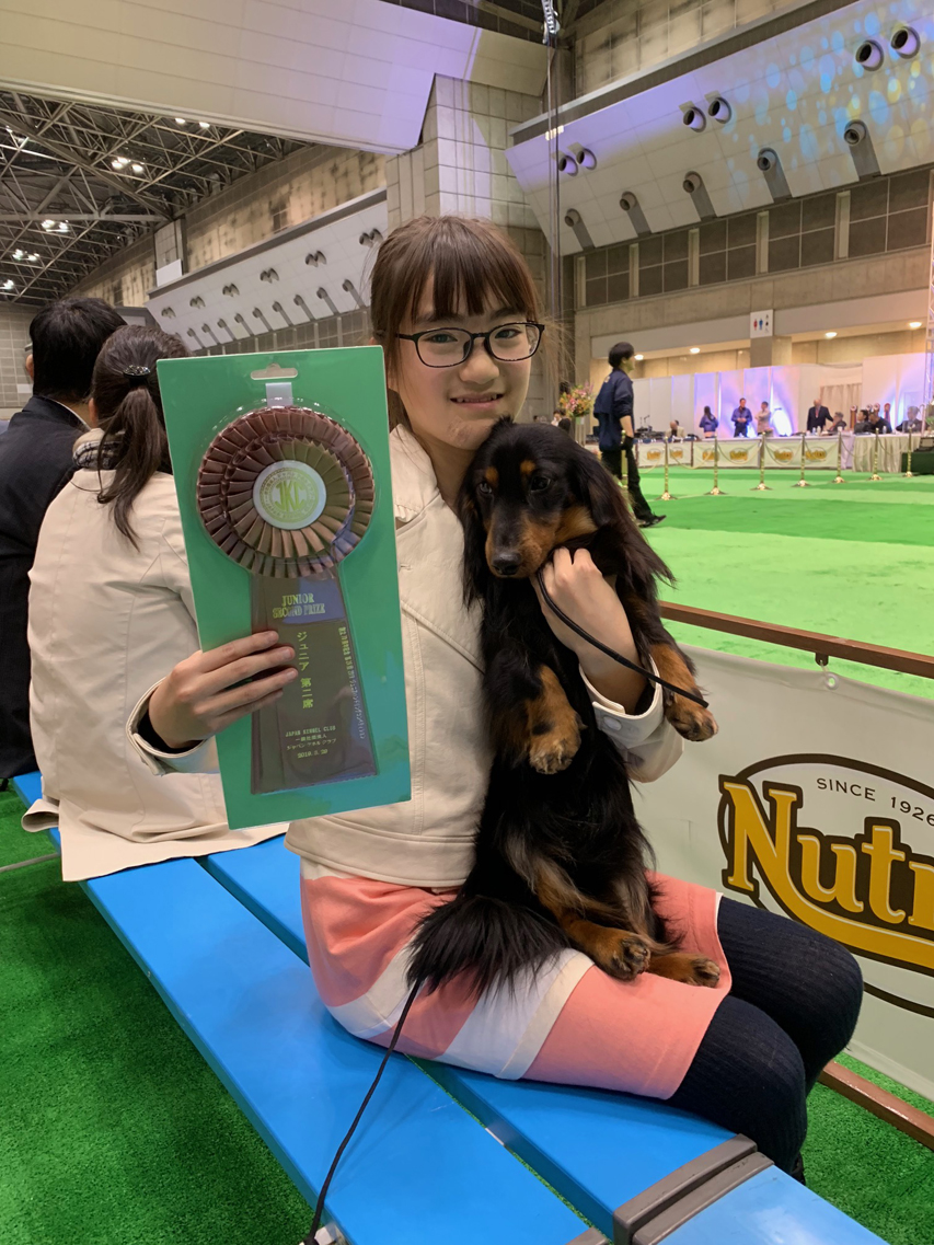 【ドッグショー】ジュニアクラス 石澤百彩奈ちゃん 見事、2席入賞