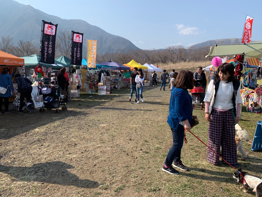 富士山わんわんマルシェ 初日風景IMG_5028 富士山わんわんマルシェ 初日風景