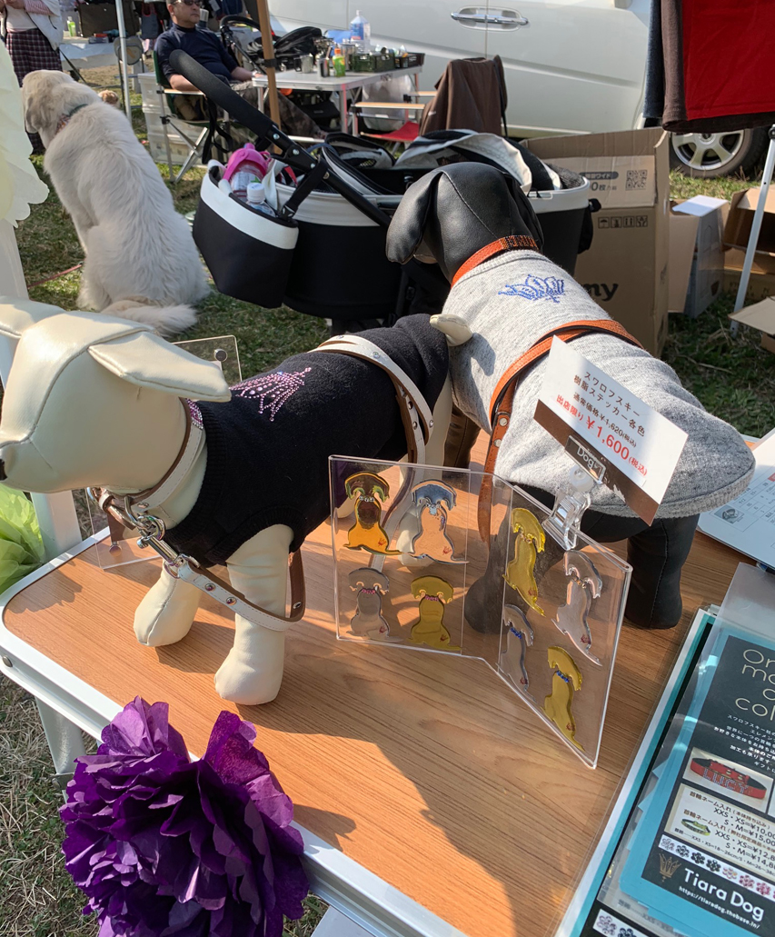 富士山わんわんマルシェ 初日風景IMG_5034 富士山わんわんマルシェ 初日風景