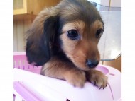 IMG_5146_mini IMG_5146_mini