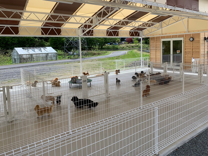 フジアースフィールド犬舎 ドッグラン部分IMG_5395 フジアースフィールド犬舎 ドッグラン部分