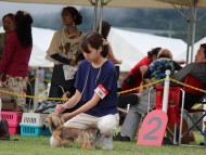 IMG_6288-20140824 IMG_6288-20140824