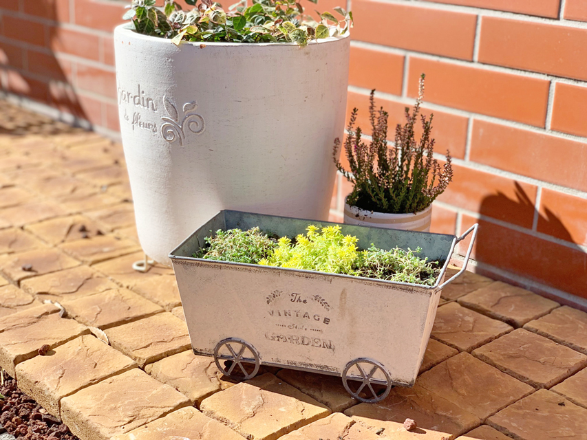 フジアースフィールド 白糸犬舎