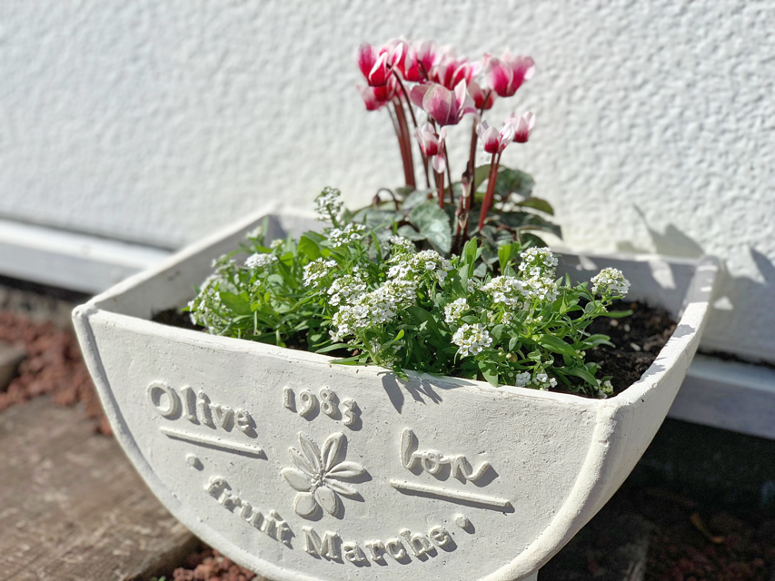 フジアースフィールド 白糸犬舎