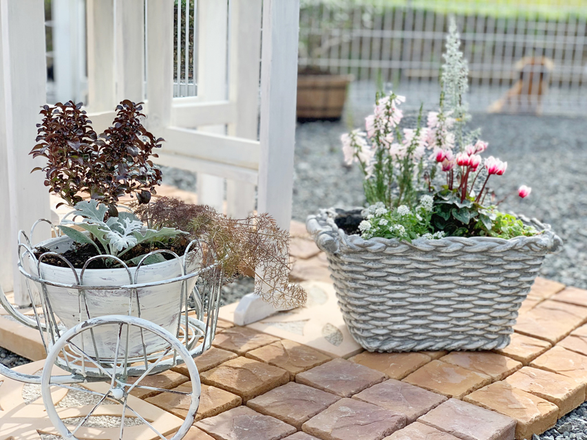 フジアースフィールド 白糸犬舎