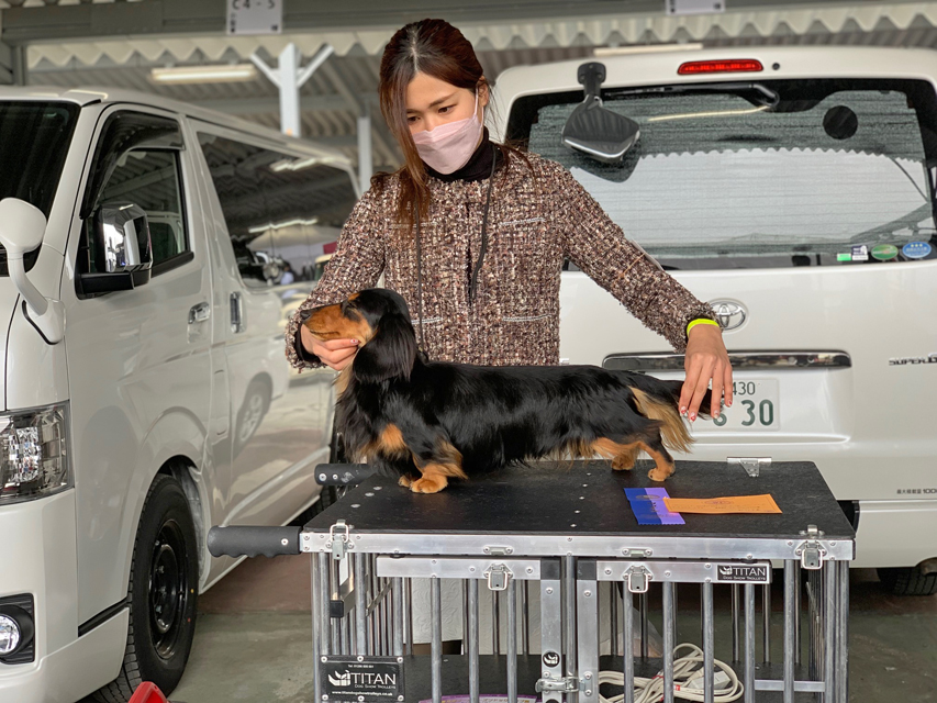 【ドッグショー】ピーター