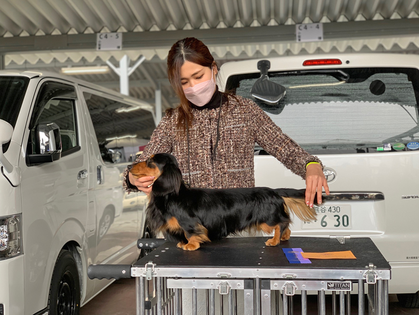 【ドッグショー】ピーター