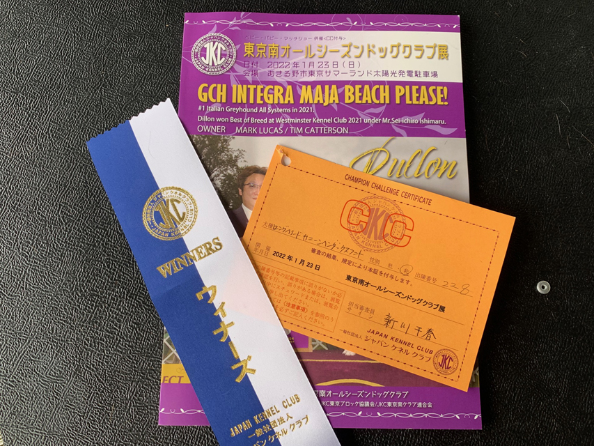 【ドッグショー】ピーター