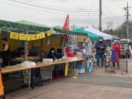 Kaninchen-Dachshund0667 Kaninchen-Dachshund0667