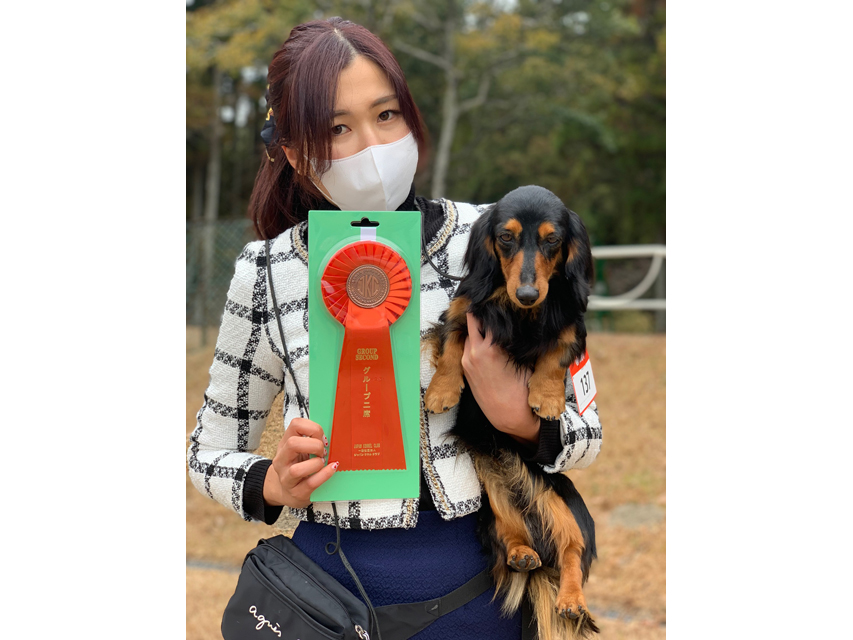 カニンヘン ダックスフンド 【ドッグショー】ピーター