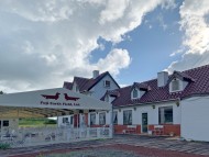 Kaninchen-Dachshund27 Kaninchen-Dachshund27