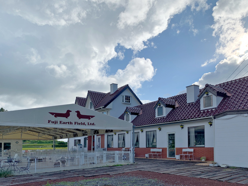 Kaninchen-Dachshund27 Kaninchen-Dachshund27