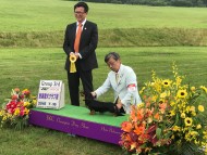 Kaninchen-Dachshund408363 Kaninchen-Dachshund408363