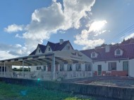 Kaninchen-Dachshund4