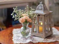 Kaninchen-Dachshund4397 Kaninchen-Dachshund4397