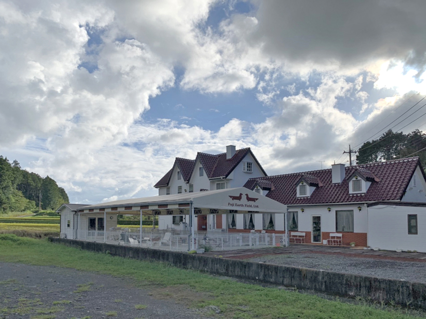 Kaninchen-Dachshund7 Kaninchen-Dachshund7