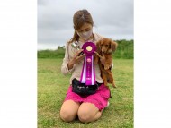 Kaninchen-Dachshund711