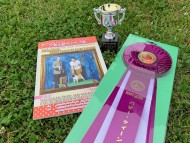 Kaninchen-Dachshund714