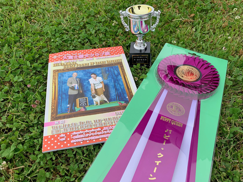 カニンヘン ダックスフンド 【ドッグショー】マカナ パピークイーンKaninchen-Dachshund714 カニンヘン ダックスフンド 【ドッグショー】マカナ パピークイーン