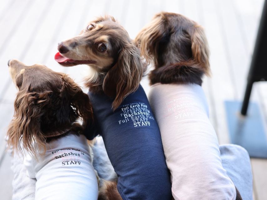 ラムピノクチュール