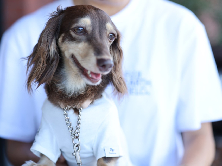 ラムピノクチュール