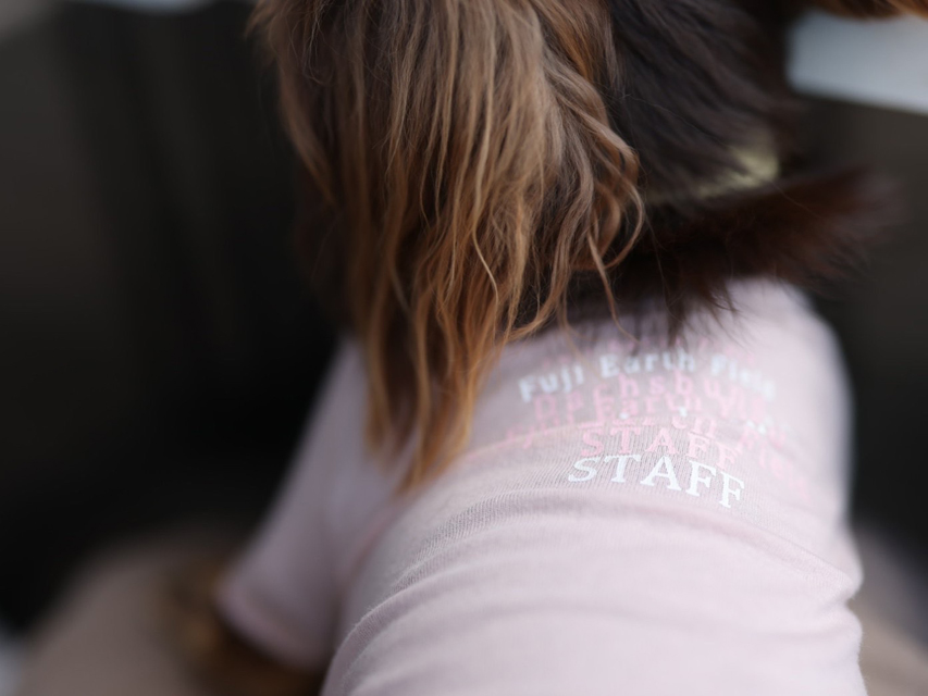 ラムピノクチュール