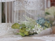 Kaninchen-Dachshund_1319