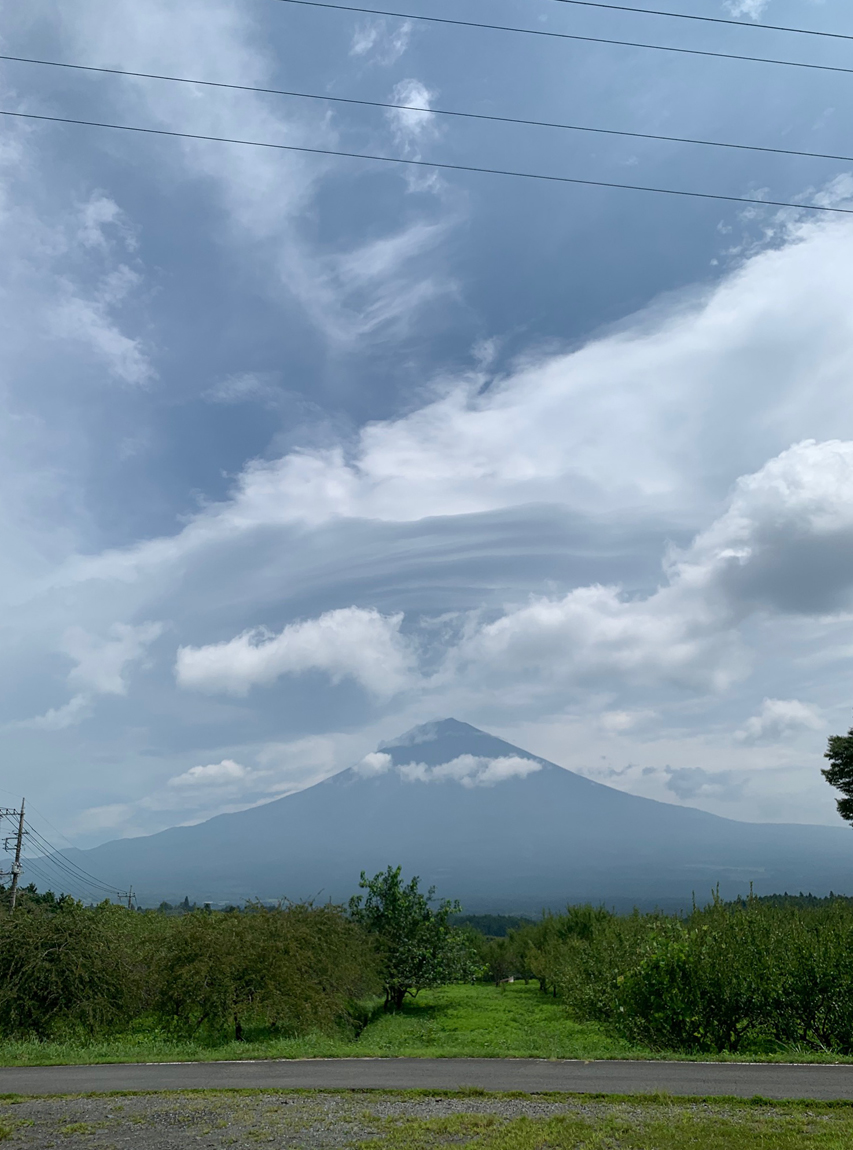 狂犬病ワクチン集団接種　マイクロチップ全頭装着