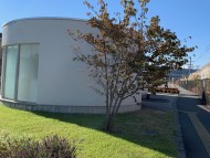 Kaninchen_Dachshund-1731