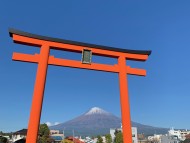 Kaninchen_Dachshund-1732