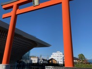 Kaninchen_Dachshund-1735