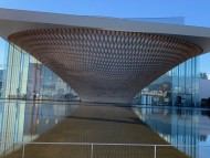 Kaninchen_Dachshund-1737