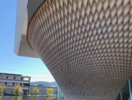 Kaninchen_Dachshund-1738