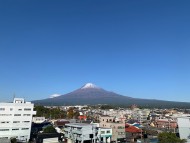 Kaninchen_Dachshund-1740