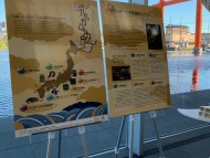 Kaninchen_Dachshund-1753