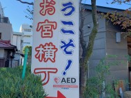 Kaninchen_Dachshund-1755