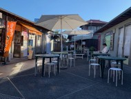 Kaninchen_Dachshund-1761