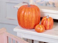 Kaninchen_Dachshund-7400