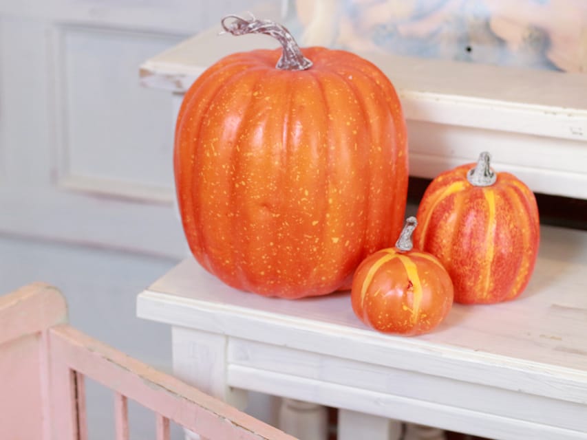 カニンヘン ダックスフンド フルール&パッションの子犬 レディシュイエロー(レディシュクリーム) 女の子Kaninchen_Dachshund-7400 カニンヘン ダックスフンド フルール&パッションの子犬 レディシュイエロー(レディシュクリーム) 女の子