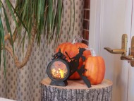 Kaninchen_Dachshund-8802