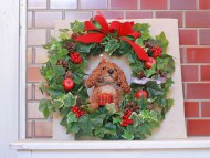 Kaninchen_Dachshund28.20