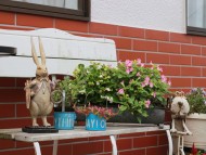 Kaninchen_Dachshund4445