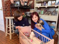 Kaninchen_Dachshund6197681