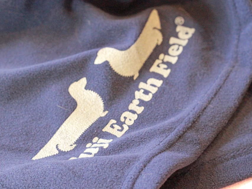 カニンヘンダックスフンド チャンミ ＆ ボノの子犬 レッド 男の子