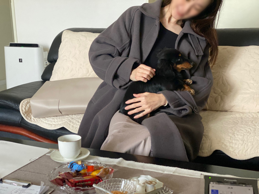 ダックスフンド 子犬ご見学会 ㏌ 東京Kaninchen_Dachshund_2193 ダックスフンド 子犬ご見学会 ㏌ 東京