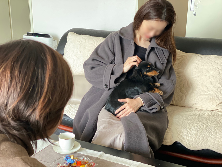 ダックスフンド 子犬ご見学会 ㏌ 東京Kaninchen_Dachshund_2196 ダックスフンド 子犬ご見学会 ㏌ 東京