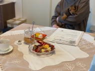 Kaninchen_Dachshund_2198