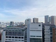 Kaninchen_Dachshund_3544