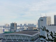 Kaninchen_Dachshund_3545