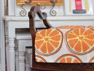 Kaninchen_Dachshund_4617